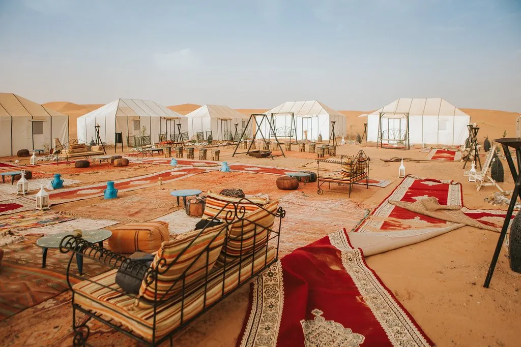Sahara Camel Ride