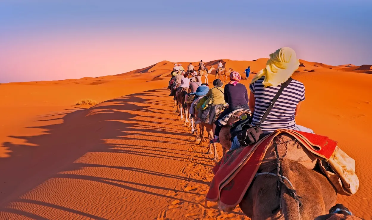 Sahara Camp